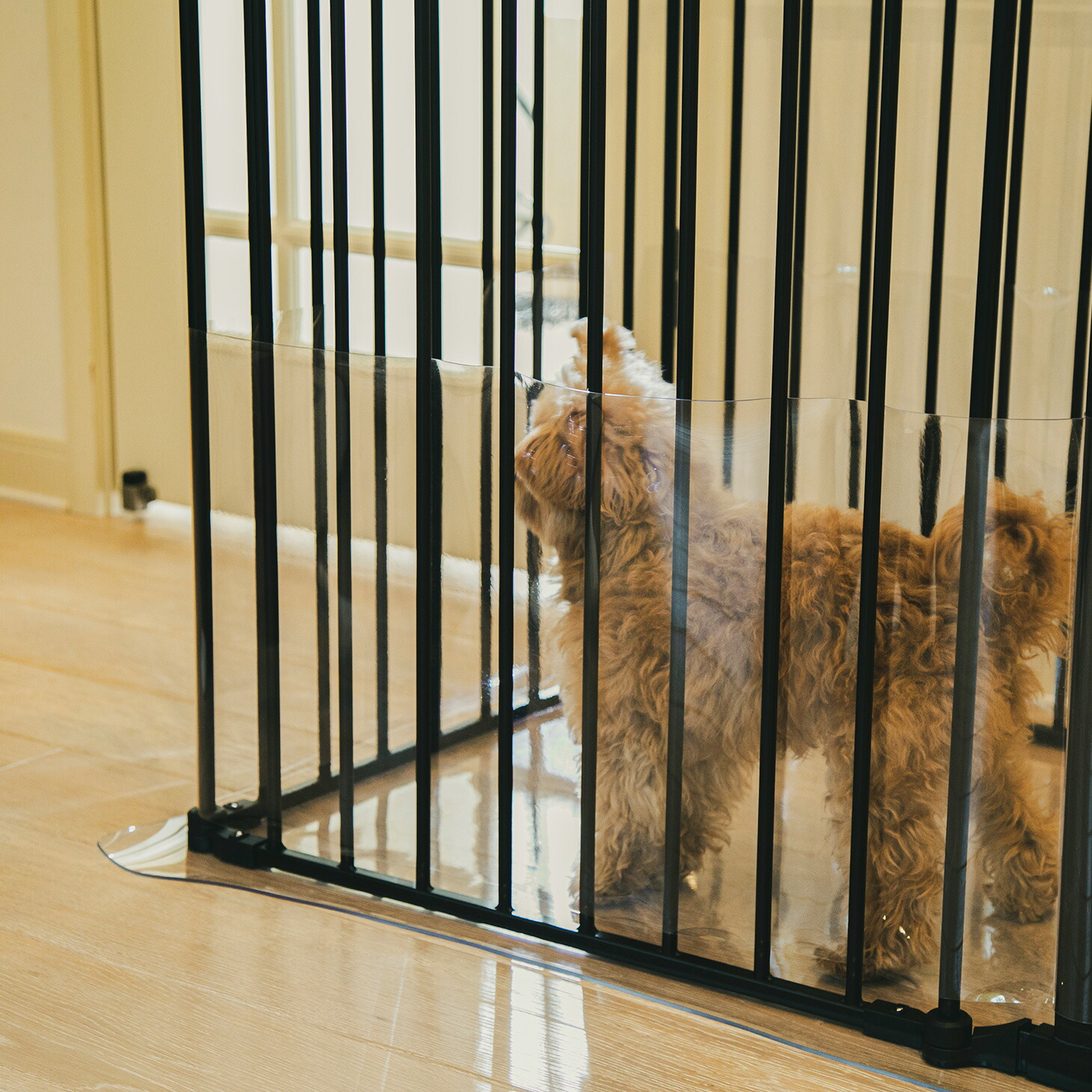 楽天市場 Citydog ケージ用クリアマット ゲージ サークル 大型犬 猫 ペットサークル ペット アイアン フェンスケージ 小型 中型犬用 多頭飼い おしゃれ 犬サークル 犬 ケージ 中型犬 シンプル モダン シティドッグ シティードッグ Citydog