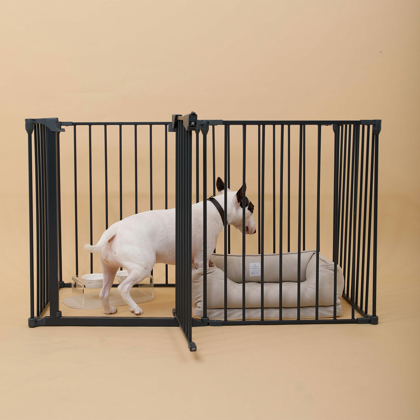 楽天市場 Citydog ケージ ゲージ サークル 小型犬 猫 ペットサークル ペット アイアン フェンスケージ 小型 中型犬用 多頭飼い おしゃれ 犬サークル 犬 ケージ 小型犬 シンプル モダン シティドッグ シティードッグ Citydog