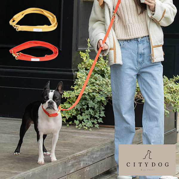 楽天市場 送料無料 Citydog ペット用 リード ブライトコレクションリード 犬 猫 伸縮 おしゃれ ハーネス 2頭引き 肩掛け ハンズフリー 大型犬 中型犬 小型犬 シティドッグ シティードッグ 多頭 おでかけ シンプル 高品質 Citydog