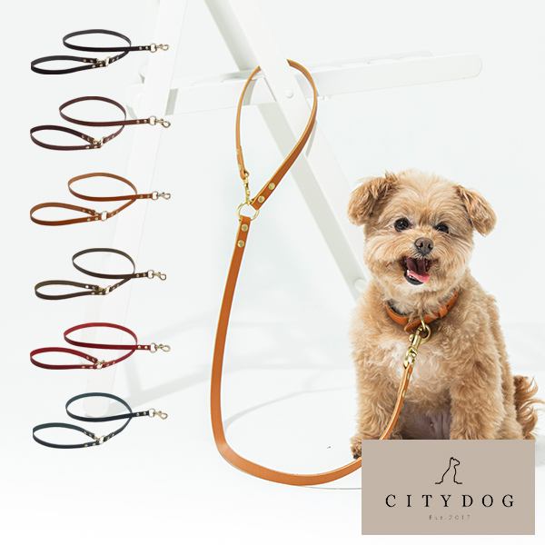 楽天市場 日本製 送料無料 Citydog City Dog ペット用 本革 リード クラシックレザーカフェリード 犬 猫 伸縮 おしゃれ ハーネス 革 2頭引き 大型犬 中型犬 小型犬 国産 日本製 職人 シティドッグ シティードッグ 多頭 おでかけ シンプル 高品質 Citydog