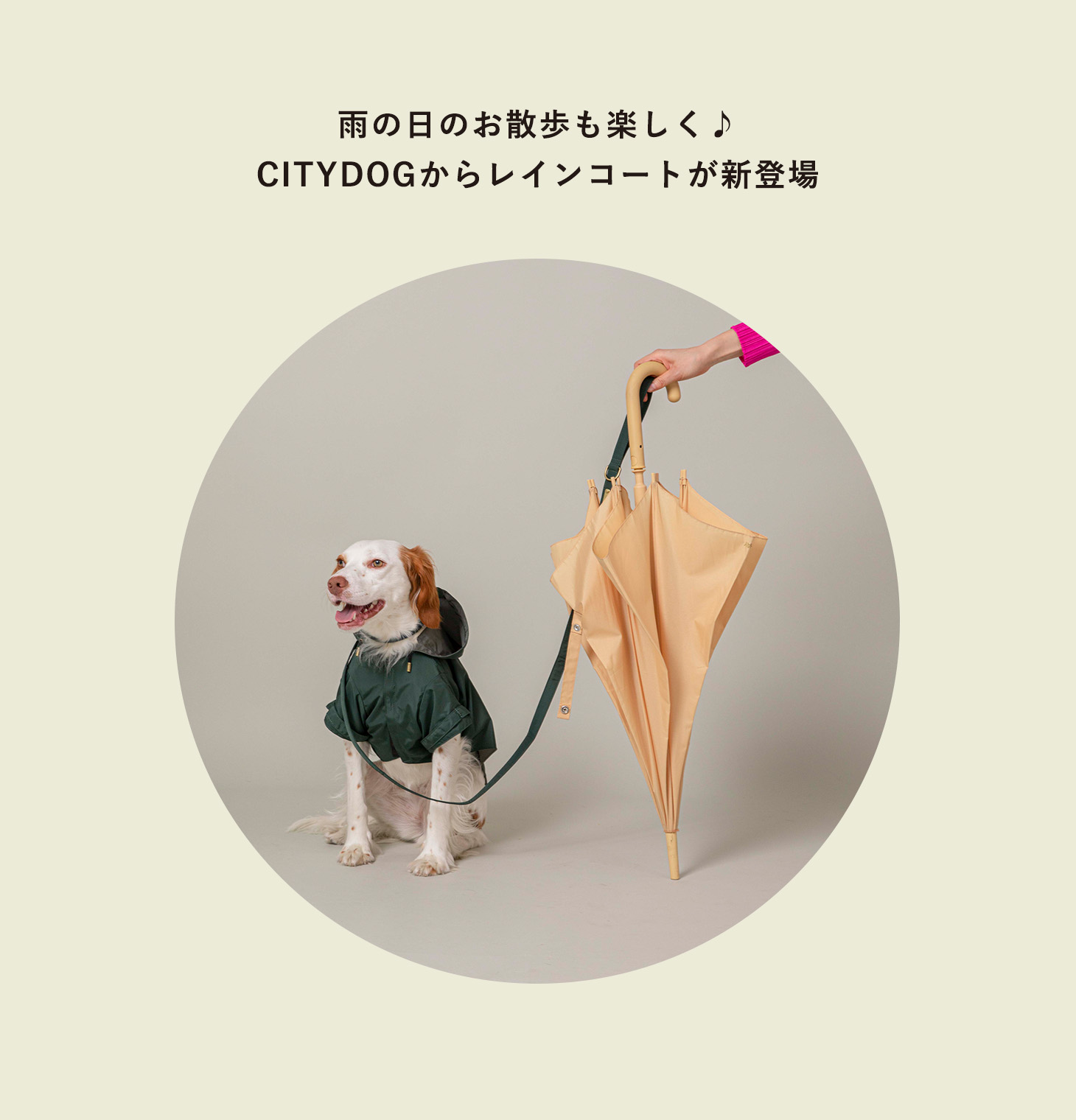 お買得 送料無料 Citydog レインコート リード 犬 着せやすい 着脱 簡単 ポンチョ フード付き ドッグウエア クール おしゃれ お洒落 シンプル 2頭引き 多頭 大型犬 中型犬 小型犬 おでかけ 散歩 高品質 高級 安全 可愛い 上品 プレゼント ギフト 贈り物 マジックテープ