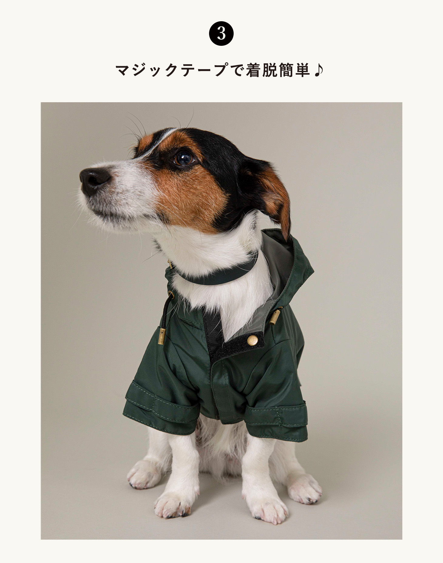 お買得 送料無料 Citydog レインコート リード 犬 着せやすい 着脱 簡単 ポンチョ フード付き ドッグウエア クール おしゃれ お洒落 シンプル 2頭引き 多頭 大型犬 中型犬 小型犬 おでかけ 散歩 高品質 高級 安全 可愛い 上品 プレゼント ギフト 贈り物 マジックテープ
