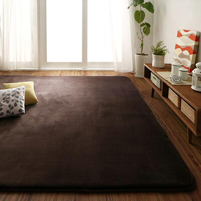 ラグ マット 200&times;300cm 18mm厚タイプ 洗える はっ水ラグ レペウェル 無地 ラグマット 撥水 厚手 マイクロファイバーラグ クションラグ オールシーズン ダイニング フランネル 生地 こたつ敷き布団 床暖房 ホットカーペット対応 子供部屋｜single（シングル）