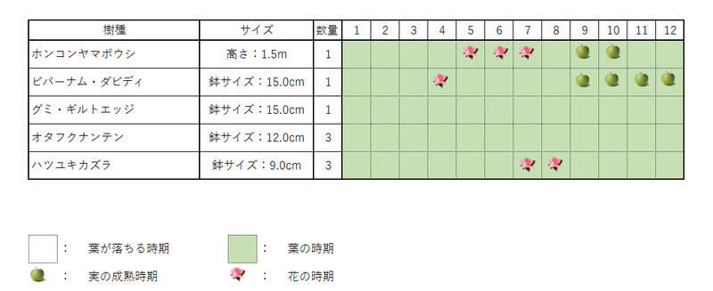 ホンコンヤマボウシ凝固 ホンコンヤマボウシ ツリー額約1 5 ビバーナム ダビディ 15cmポット グミ ギルドエッジ 15cmポット オタフクナンテン 12cmポット ハツユキカズラ 9cmポット 庭木 植栽セット Trespalmasvillas Com