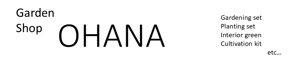 Garden Shop OHANAβ֤俢Ϥʤɤ䡣ǥ˥󥰤Ǿд餢դ餷