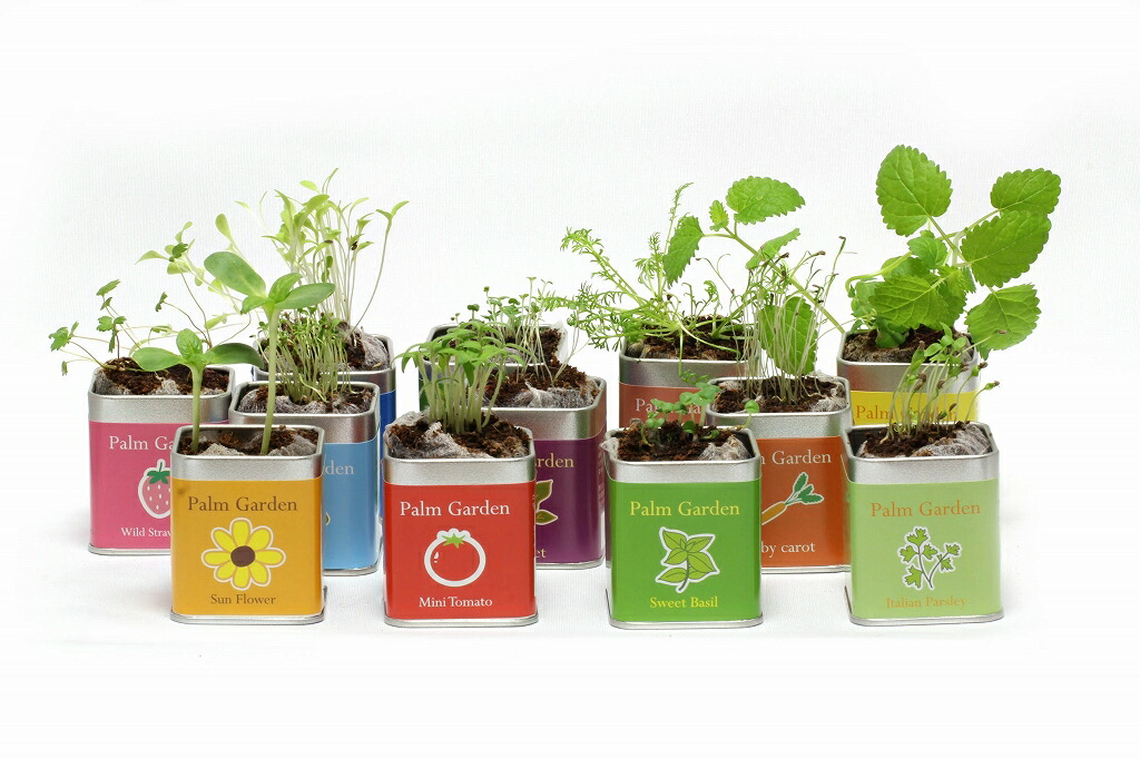 2025年版］ガーデニング好きへのプレゼントにおすすめ！便利＆おしゃれ