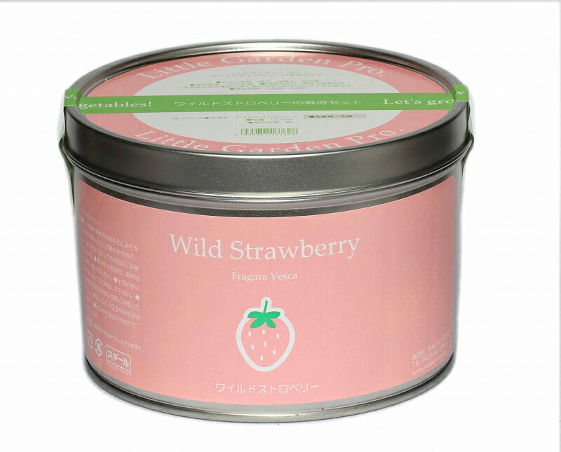 楽天市場】ホームガーデンS ワイルドストロベリー 栽培キット : Garden