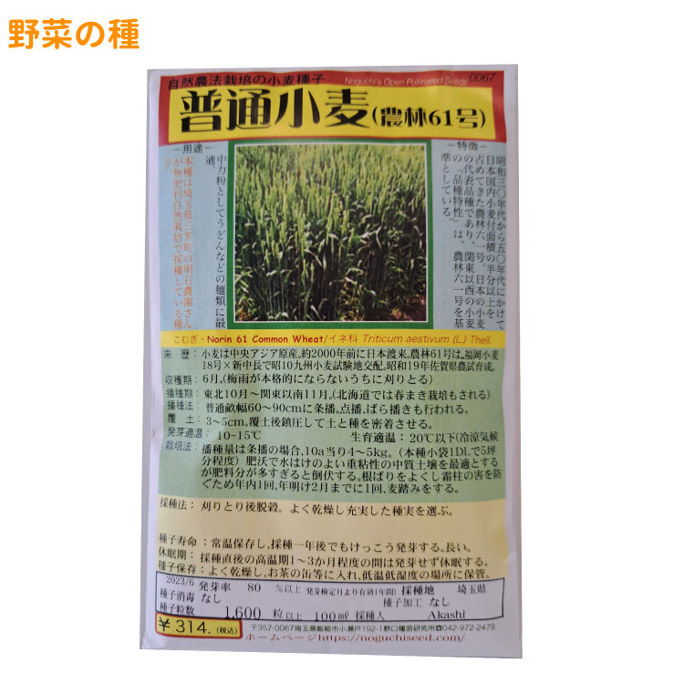 楽天市場】陸稲農林24号（うるち） 国内採種品 りくとうのうりん