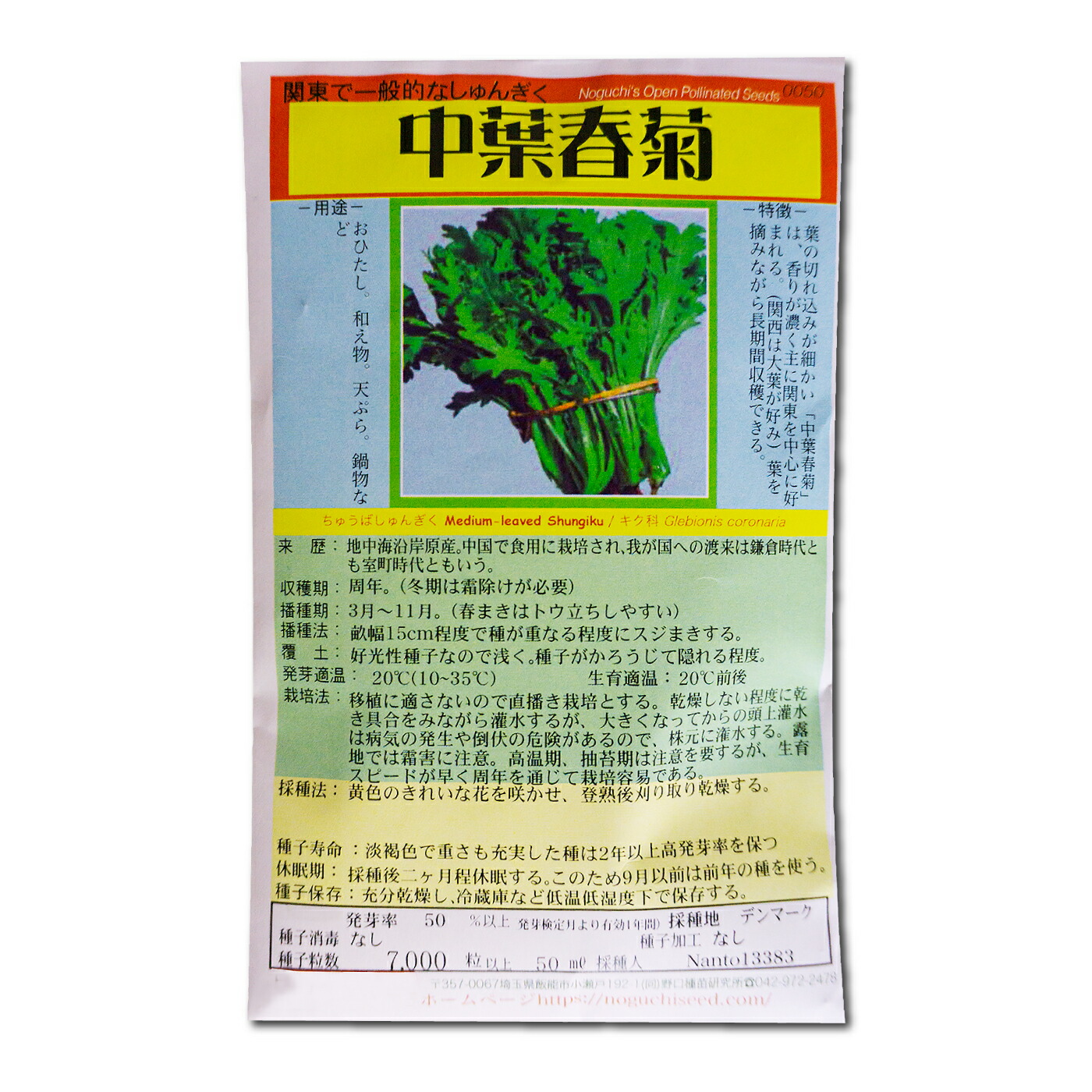 楽天市場】ルッコラ Rocket Salad, Rucola / アブラナ科 Eruca
