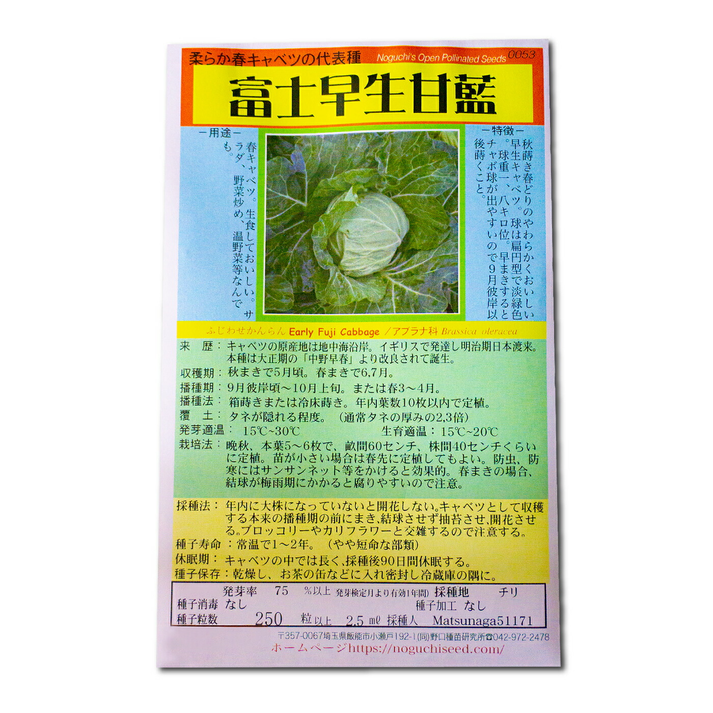 楽天市場】黒田五寸人参 国内採種品 くろだごすんにんじん