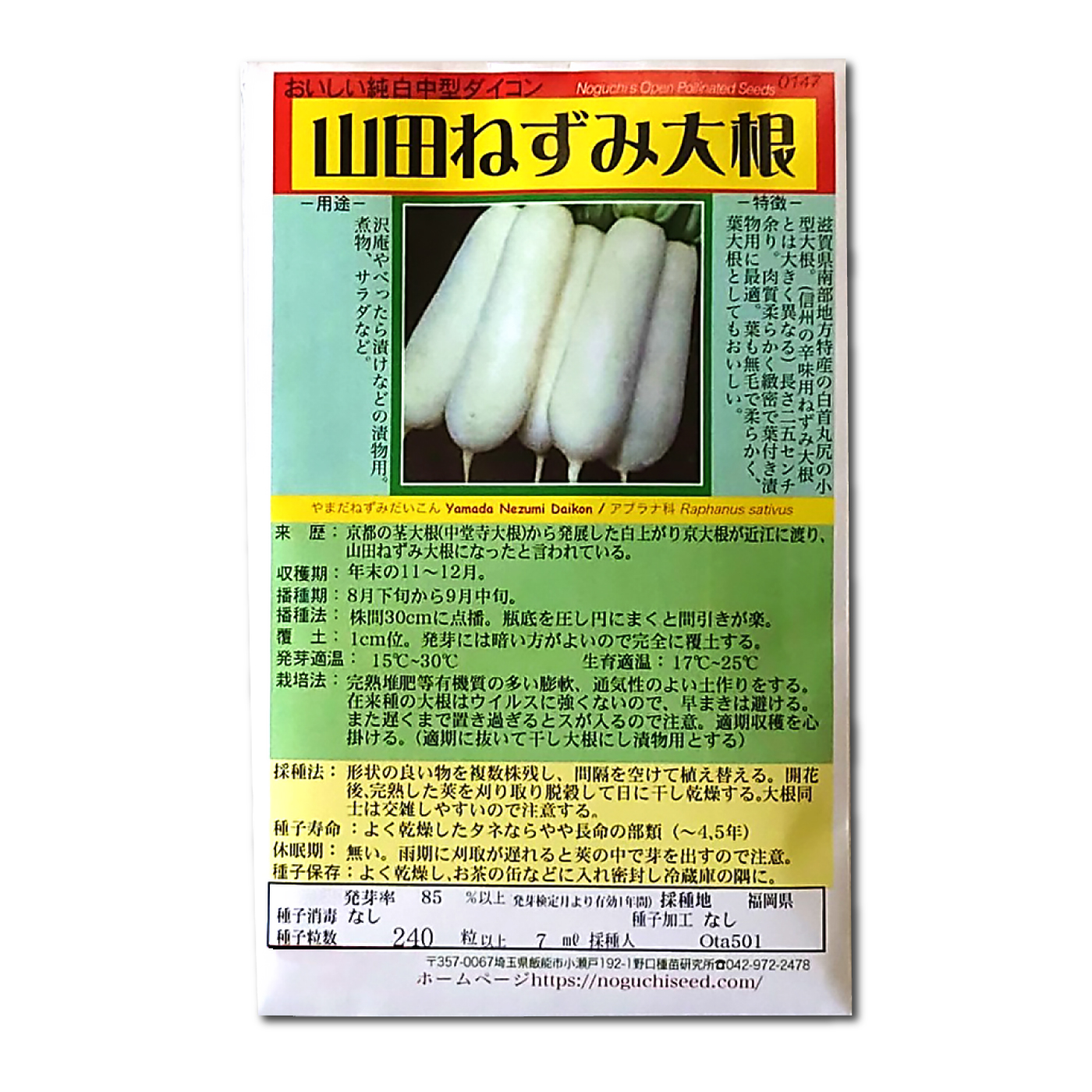楽天市場】大根 【交配ねずみ大根】 種・小袋 （1.5ml）266606 : 苗木
