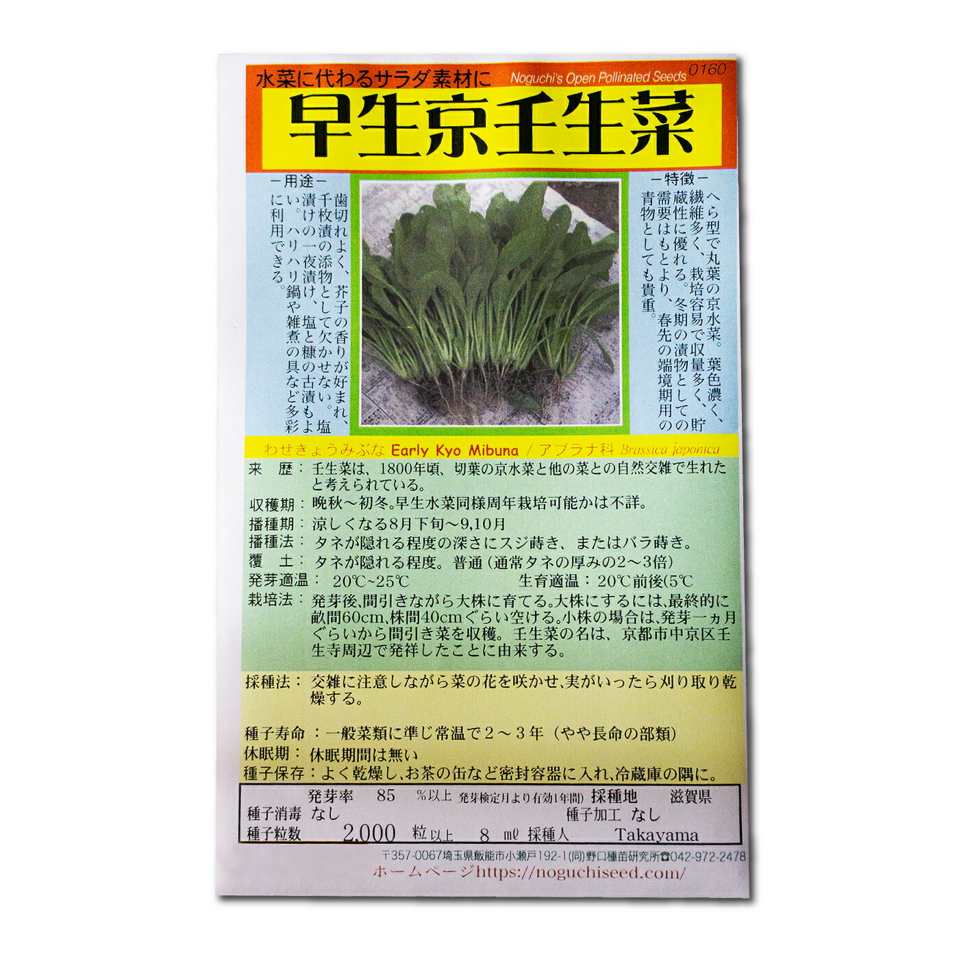 楽天市場】三つ葉 国内採種品 みつば White-stemmed Mitsuba / セリ科