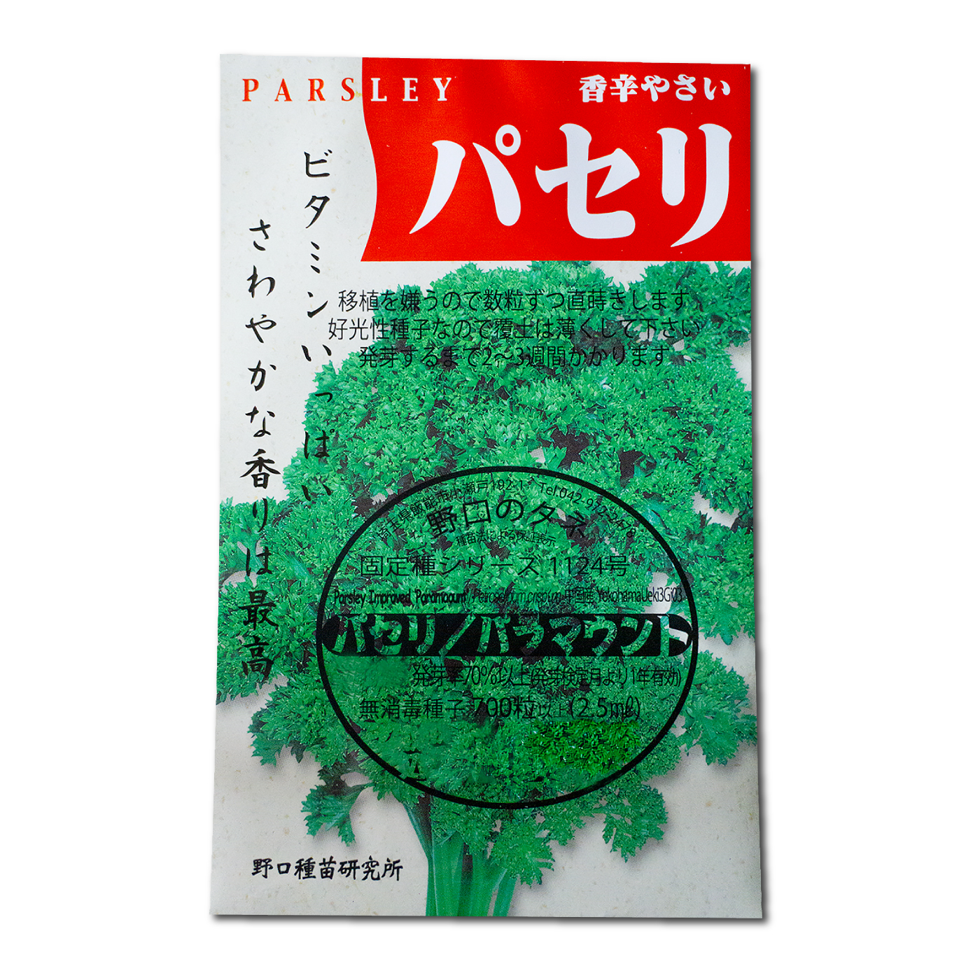 ルッコラページ 楽天市場】ルッコラ Rocket Salad, Rucola / アブラナ科 Eruca