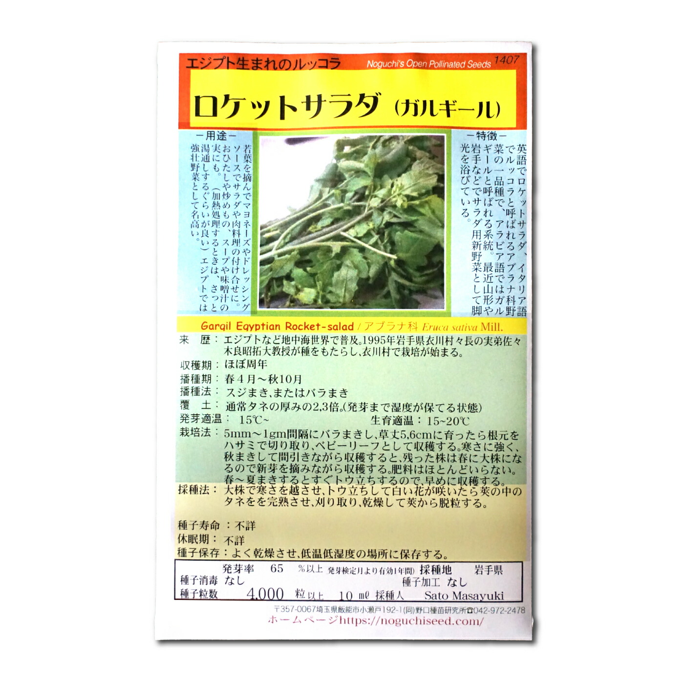 のざわな ツケナ・野沢菜| 種・苗・ガーデニング用品の【タキイネット通販】