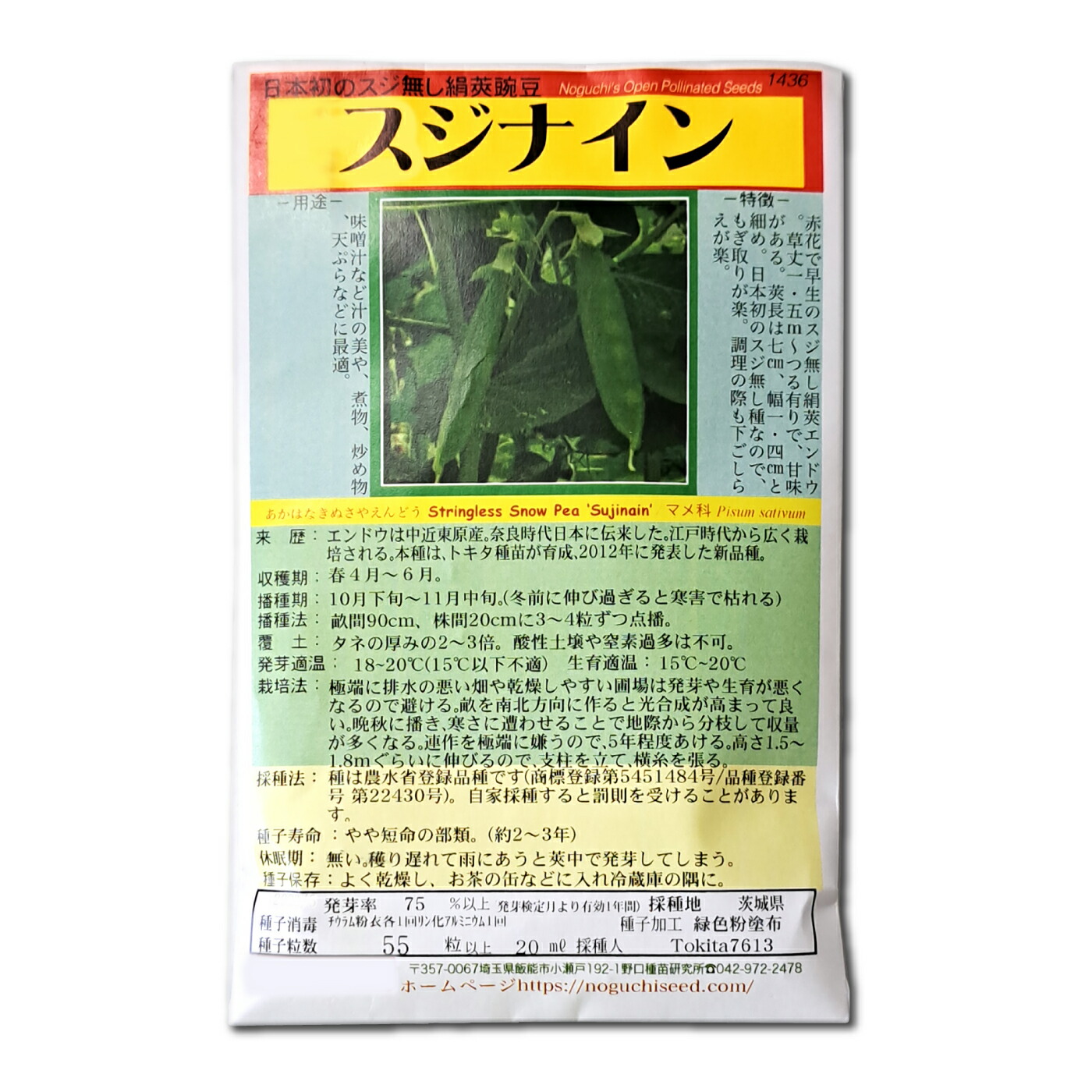 三つ葉様・専用です 楽天市場】三つ葉 国内採種品 みつば White-stemmed Mitsuba / セリ科