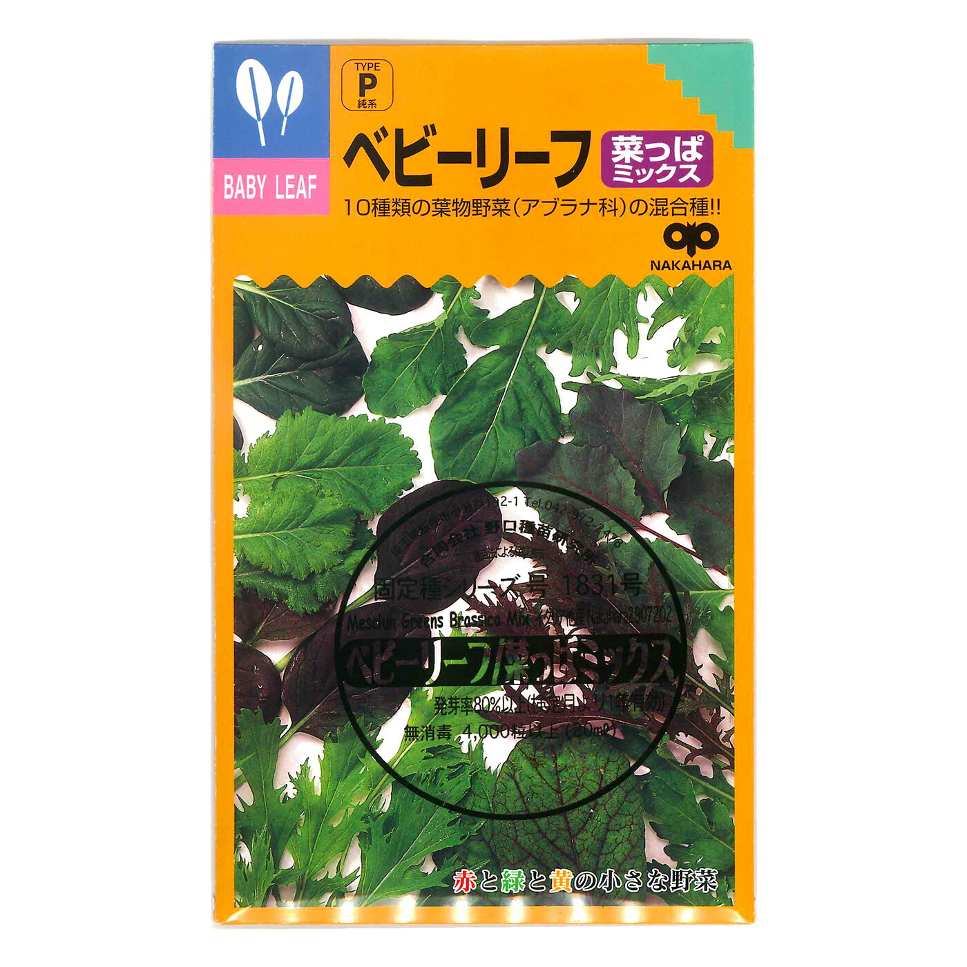 楽天市場】ルッコラ Rocket Salad, Rucola / アブラナ科 Eruca