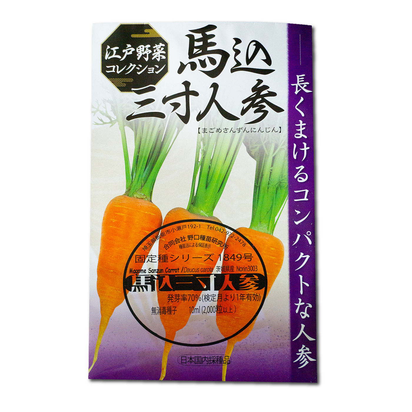 ルッコラページ 楽天市場】ルッコラ Rocket Salad, Rucola / アブラナ科 Eruca