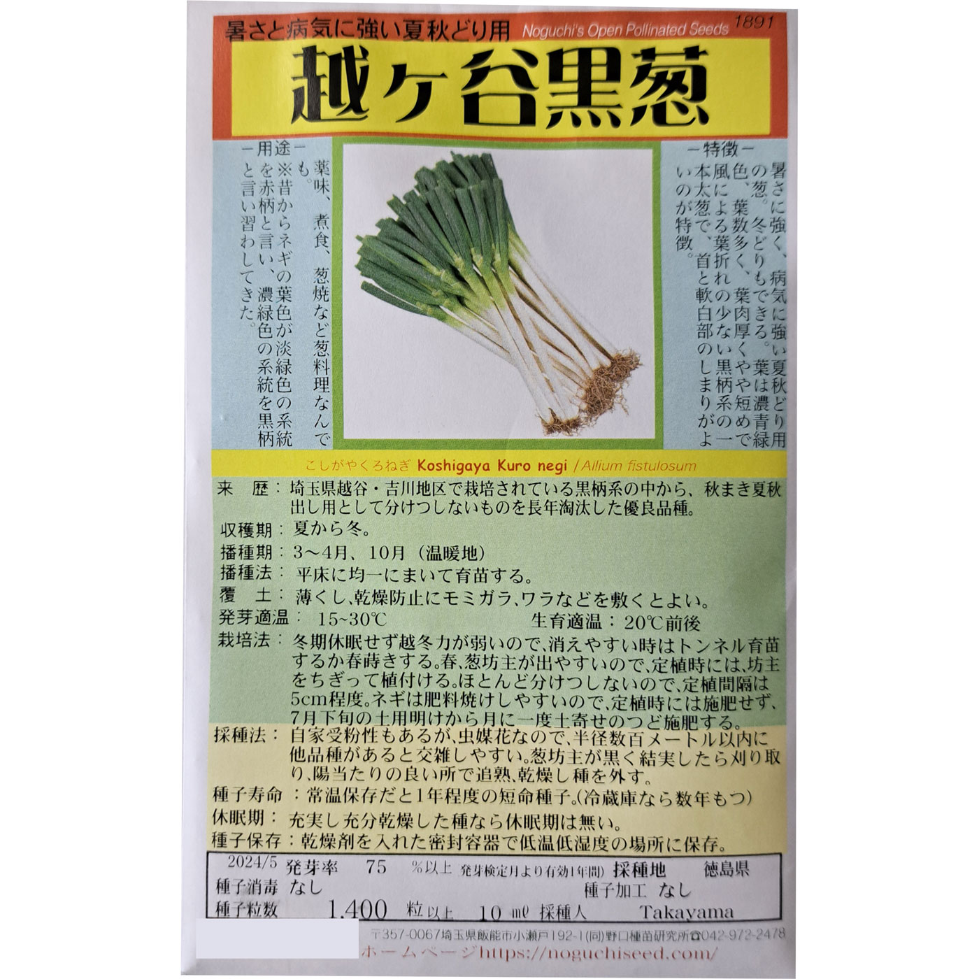 楽天市場】ライ麦 らいむぎ Rye / イネ科 Secale cereale L