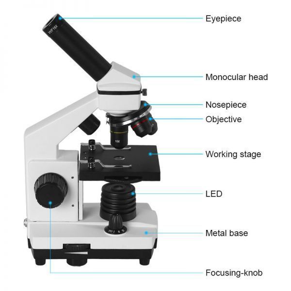 売れ筋 単眼 ズーム式顕微鏡 アジャスタブル LEDライト 9V電池駆動 