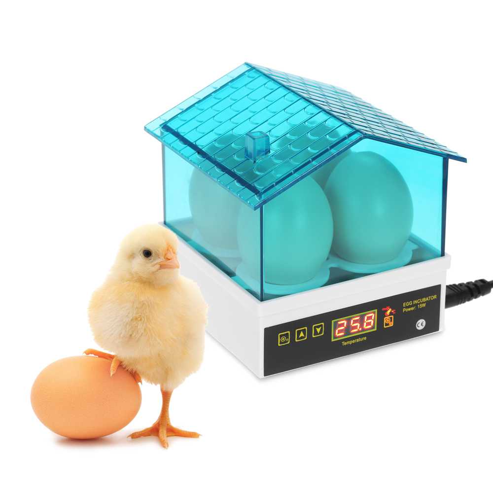 楽天市場】110V 卵4個 手動転卵式孵卵器 鳥類用 孵卵器 孵卵機