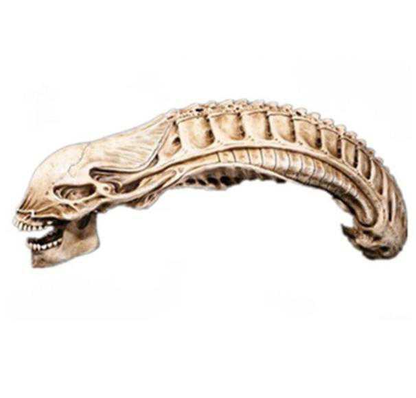 エイリアンスカル レプリカ AVP 手作業高品質品 50cm特大サイズ|四つ葉ショップ
