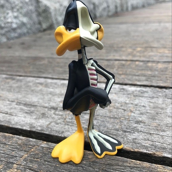 XXRAY X Jason Freeny 半解剖 LOONEY TUNES ルーニーテューンズ DAFFY DUCK ダフィーダック 在庫｜四つ葉ショップ