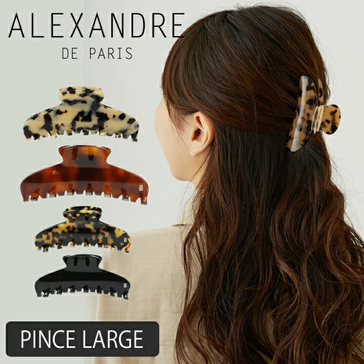 ト*ー様 very掲載❗️新品タグ付き　ALEGRE アレグレハーフジップオール パーカー 「Alfred Alex」ラバーロゴ ビッグフルジップパーカー メンズ