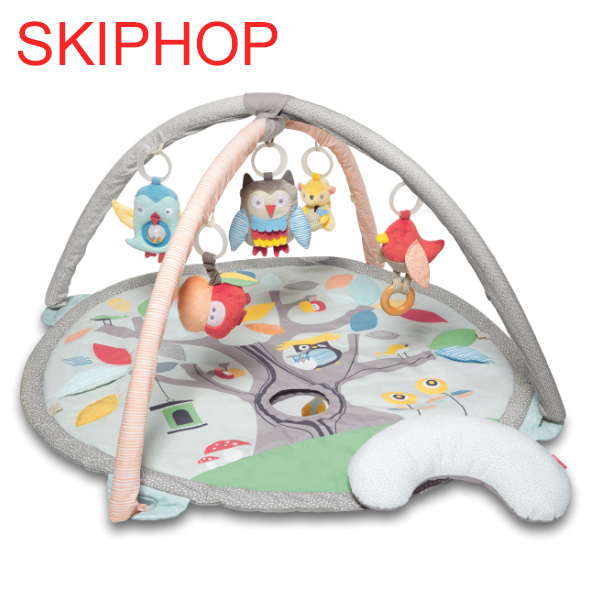 楽天市場】スキップホップ おもちゃ SKIP HOP ベビージム エービーシー