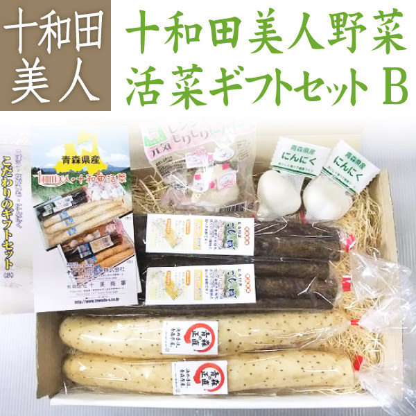 十和田美人活彩 お野菜 ギフトセット B 長いも ごぼう にんにく お試し 野菜セット ギフト 産地直送野菜 バラにんにく 根菜 野菜詰め合わせ セット 青森県産 ニンニク ゴボウ 野菜 ベジタブル 訳あり わけあり ながいも 青森ニンニク バラ 産直野菜 食材 詰め合わせ
