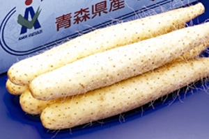 十和田美人野菜 長芋ギフトセット 10kg(8～12本) 　青森 あおもり 名産 青森県産  農産物 農業 野菜 ベジタブル 野菜セット お試し野菜セット 野菜セット 訳あり ワケあり お土産　ながいも　長いも