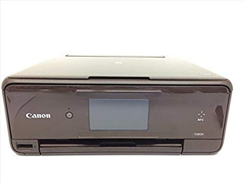 【中古】旧青写真 Canon インクジェット印刷機結びあわせる機 TS8030 BW 赤銅色