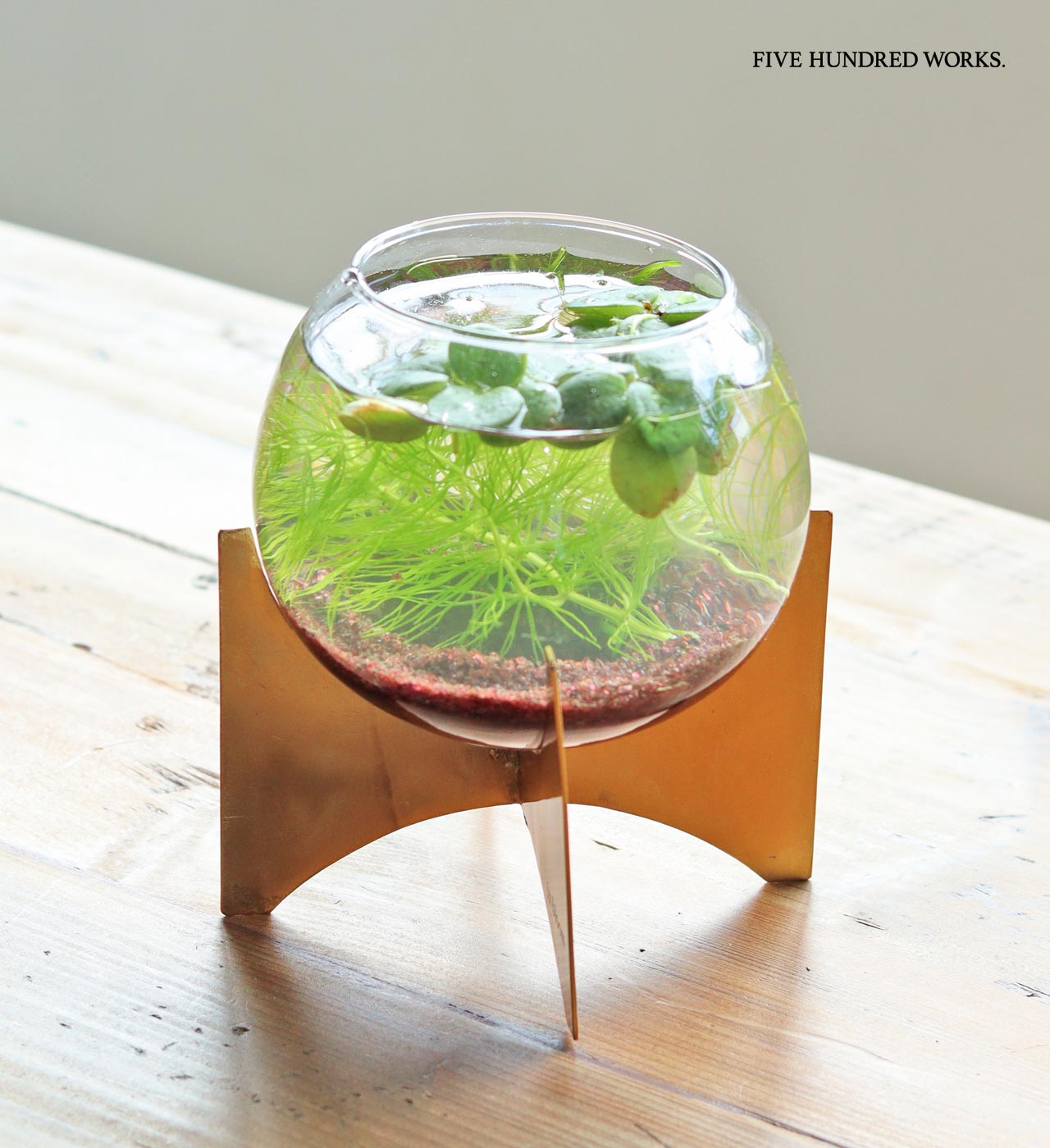 楽天市場】【公式】ガラスボウルベース Sサイズ(inbloom) 500WORKS