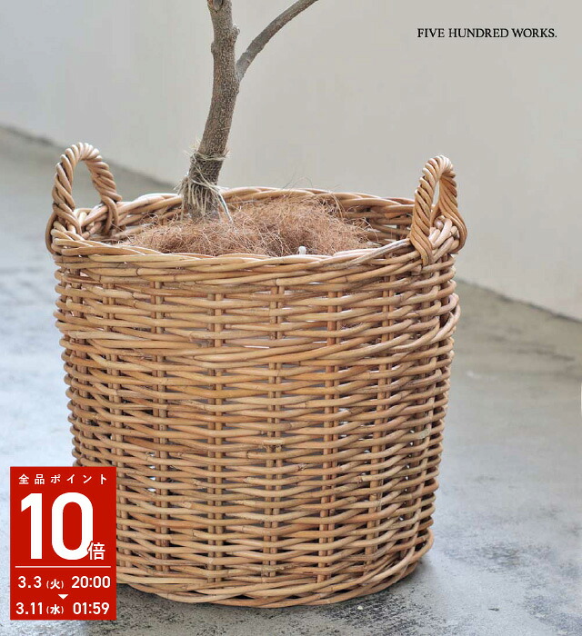 楽天市場】【公式】アラログ プランターバスケット 6号鉢用(THE AROROG