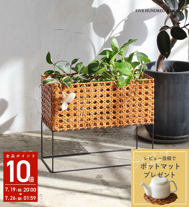 再入荷品目商品目録