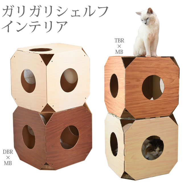 楽天市場 ガリガリシェルフ インテリア 猫用爪とぎ キャットスクラッチャー ハウス 特箱 猫用品のゴロにゃん 楽天市場店