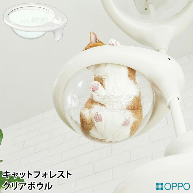 楽天市場】OPPO CatForest2 キャットフォレスト2 ホワイト (04344) Cat