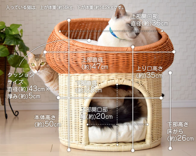 お使いのモニタ・ディスプレイの機種・設定・製造時期・各種設定によって実際の色合いとは異なって表示されることがございます。あらかじめ悪しからずご了承ください。