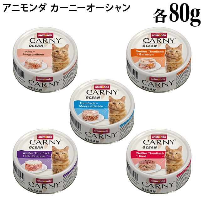 楽天市場】アニモンダ 猫用 フォムファインステン アダルト 100g缶