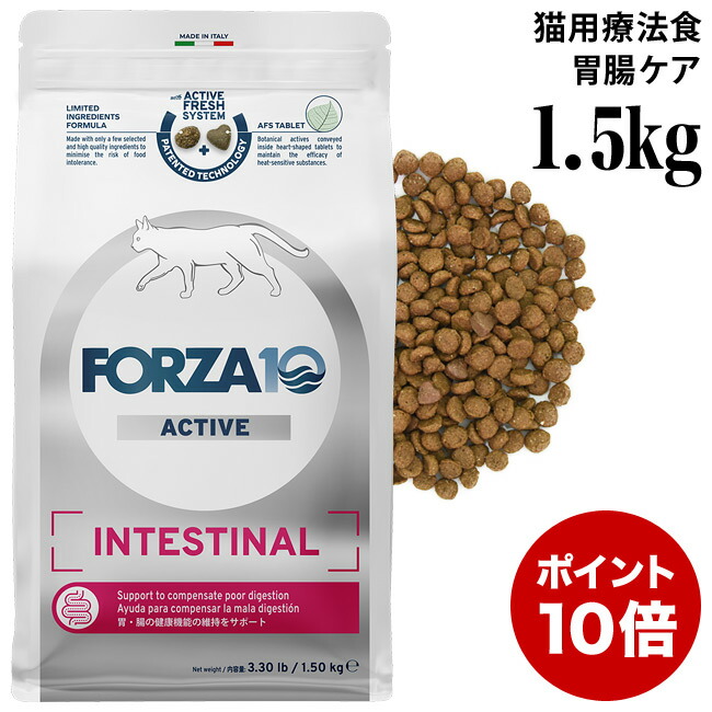 楽天市場】【ポイント10倍】フォルツァ10 デイリープロ アダルト