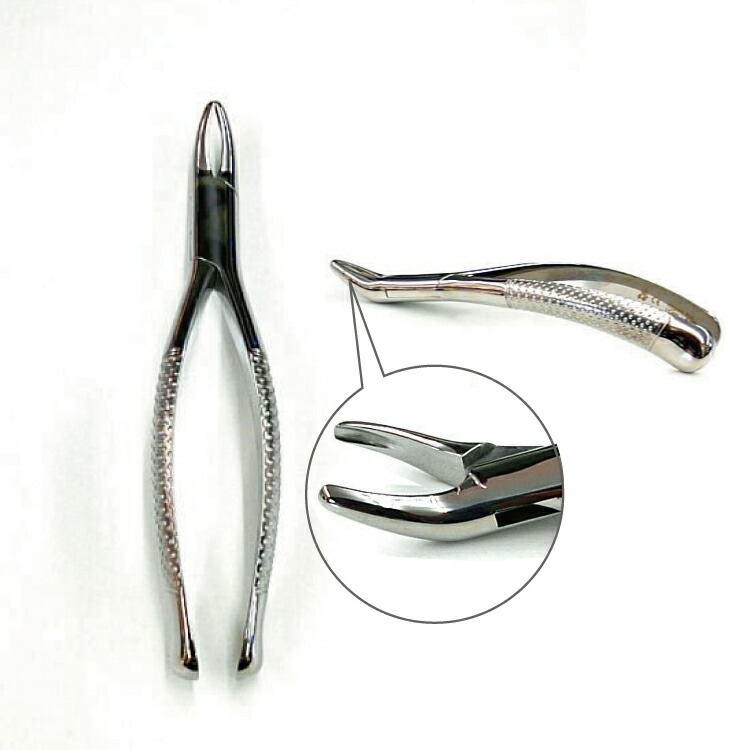 口腔用先丸ペンチ New 中型犬や大型犬の歯石取りにも M39m 愛犬 愛猫 ペット 口腔ケア 歯垢除去 歯槽膿対策 歯茎 お掃除 口臭対策 Sermus Es