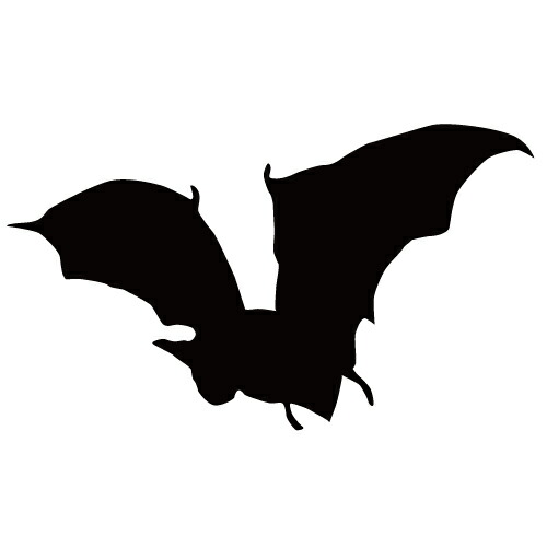 ステッカー コウモリP はばたくコウモリ 狙うコウモリ バットマン ハロウィン かっこいい クール/おしゃれステッカー/アクリルプレート/パーテーション/車/ガラス/窓/装飾/デコ/スケボー/かっこいい/【メール便送料無料】画像