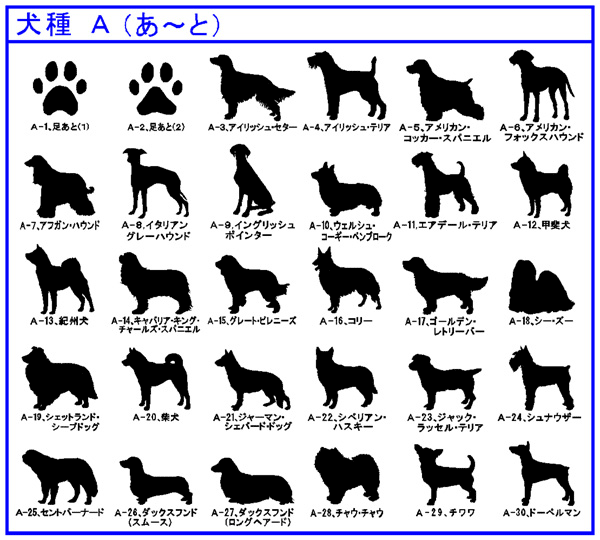 楽天市場 両面刻印 迷子札 だ円 犬のイラスト入り メール便なら 送料無料 ごえんだま