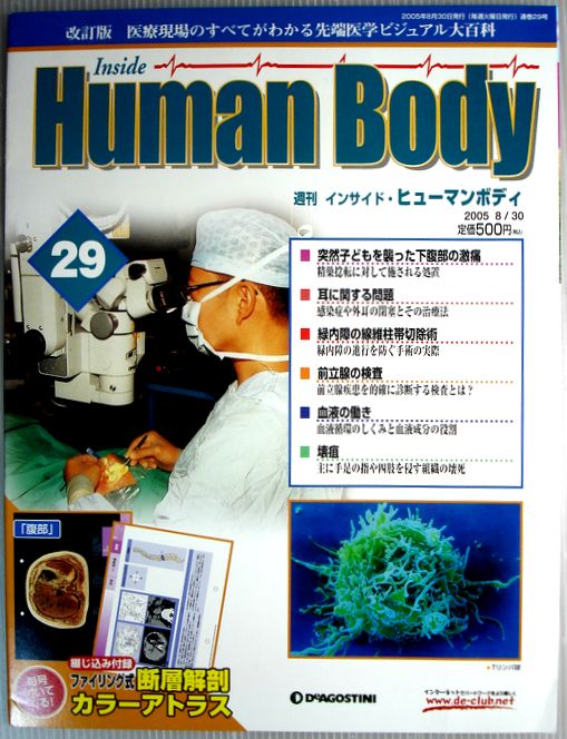 楽天市場】【中古】週刊 インサイド・ヒューマンボディ 2005年5月17日号 No.14 : ６３堂