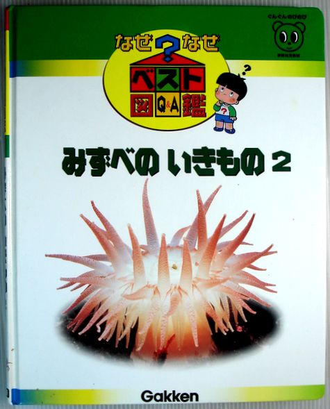 楽天市場】【中古】なぜなぜベスト図鑑 1 むし 1 : 63堂