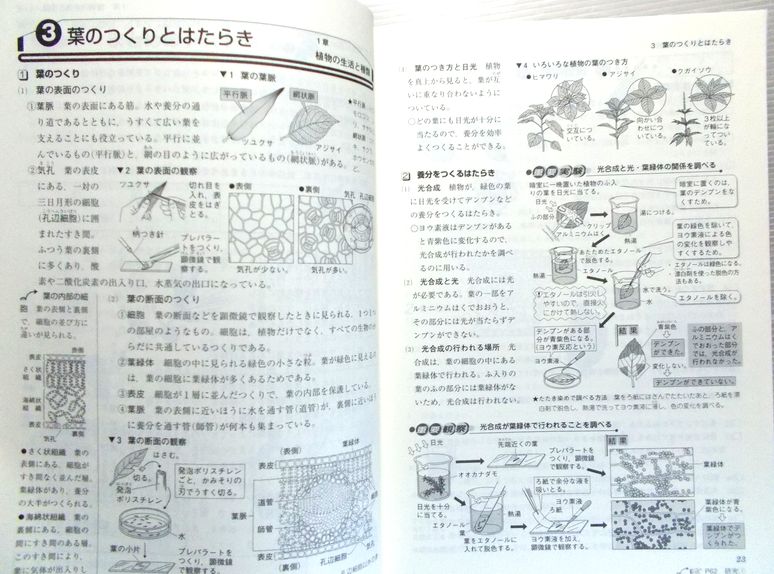 楽天市場 中古 新中学問題集 理科 1年 ６３堂