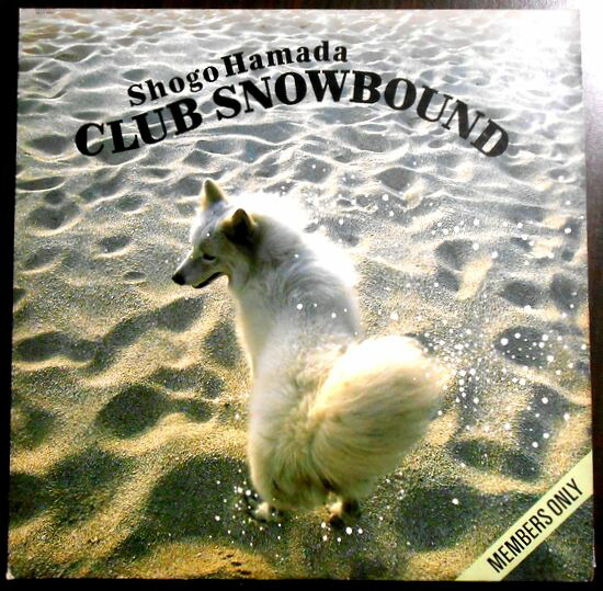 EP シングル レコード　平浩二 / 女の意地・なやばしの夜 EP シングル レコード平浩二 / 女の意地・なやばしの夜