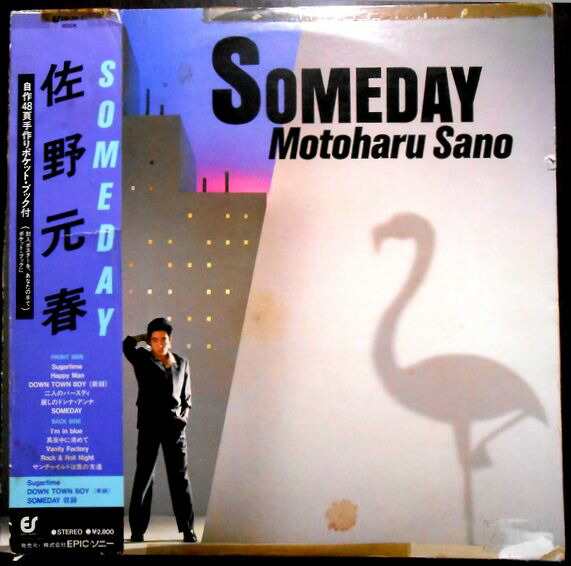 佐野元春 レコードセット・LP13・EP4 佐野元春 レコードセット・LP13・EP4 佐野元春 レコードセット