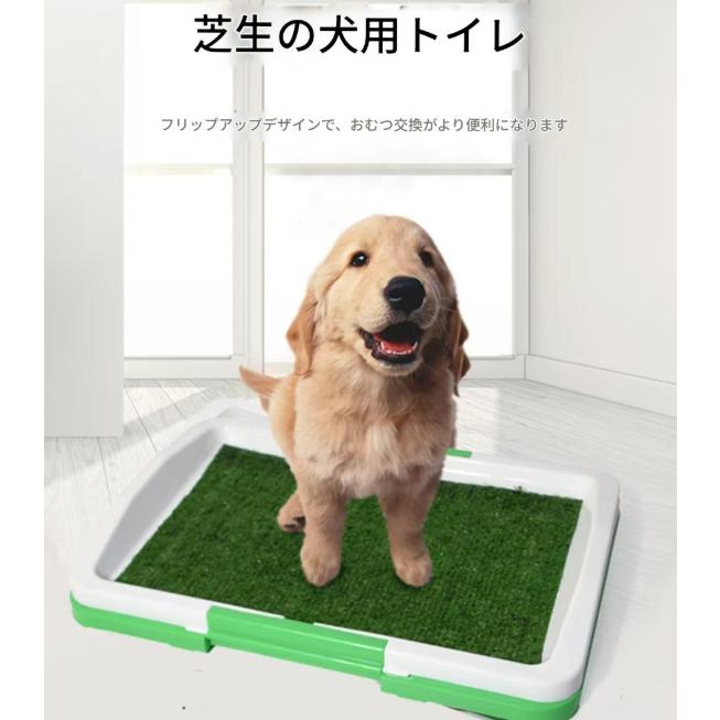 楽天市場】犬のトイレ 人工芝付き ペット用 人工芝 パッド 芝生パッド