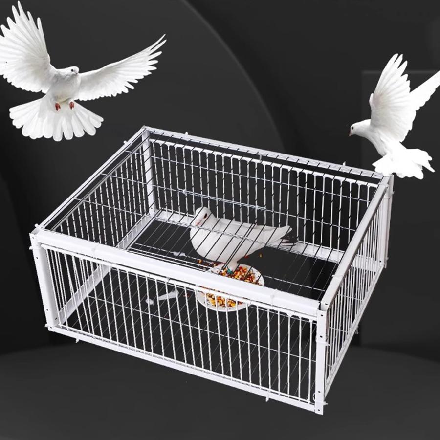 鳥かご 鳥ケージ 捕獲器 防鳥 ライブ 鳥 トラップ バードケージ 天窓付き 一方通行の入り口 金属製 鳥 捕獲 フレーム ウズラトラップ 文