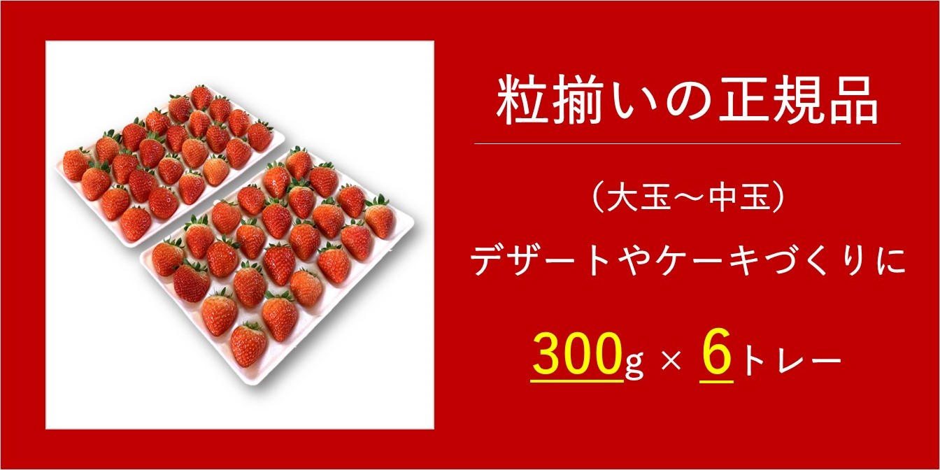 ☆セール サイズ100苺3個♢No.502青梅 3L 4kg - 通販